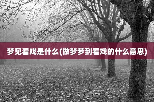 梦见看戏是什么(做梦梦到看戏的什么意思)