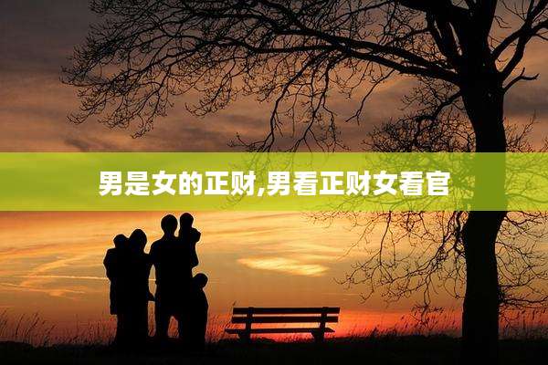 男是女的正财,男看正财女看官
