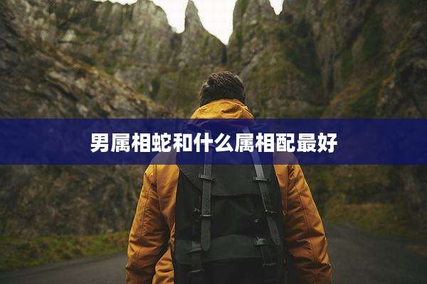 男属相蛇和什么属相配最好