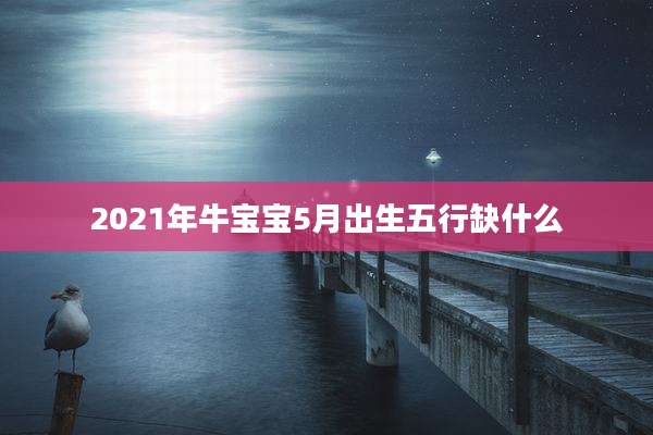 2021年牛宝宝5月出生五行缺什么