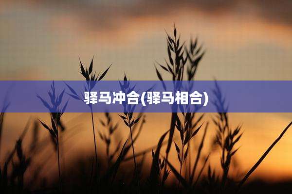 驿马冲合(驿马相合)