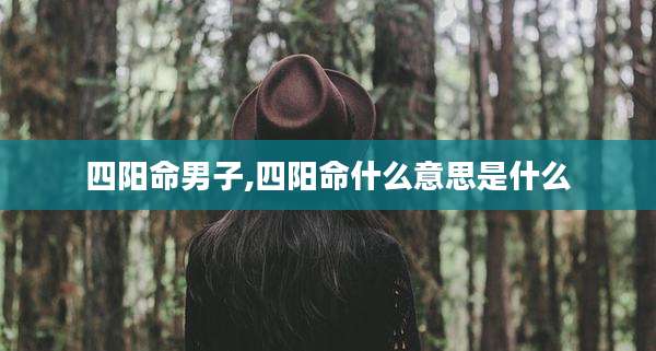 四阳命男子,四阳命什么意思是什么
