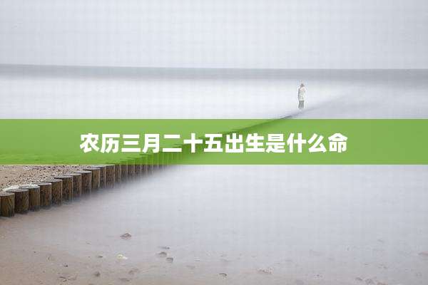 农历三月二十五出生是什么命