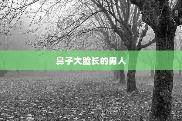 鼻子大脸长的男人