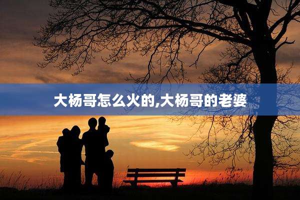 大杨哥怎么火的,大杨哥的老婆