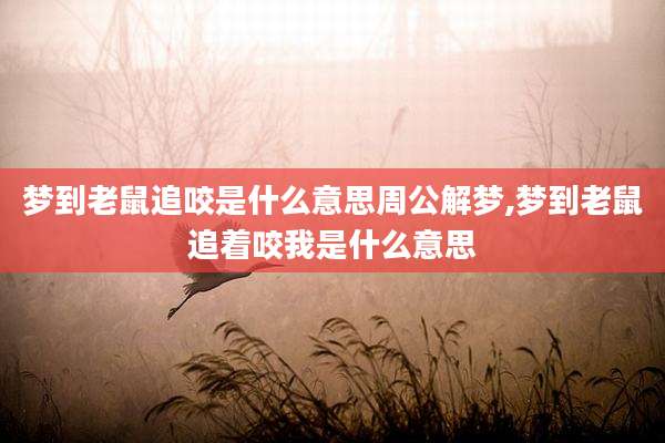 梦到老鼠追咬是什么意思周公解梦,梦到老鼠追着咬我是什么意思