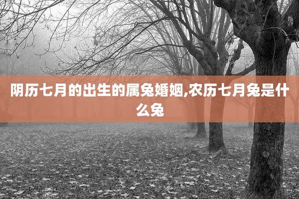 阴历七月的出生的属兔婚姻,农历七月兔是什么兔