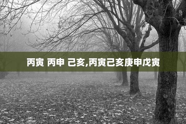 丙寅 丙申 己亥,丙寅己亥庚申戊寅