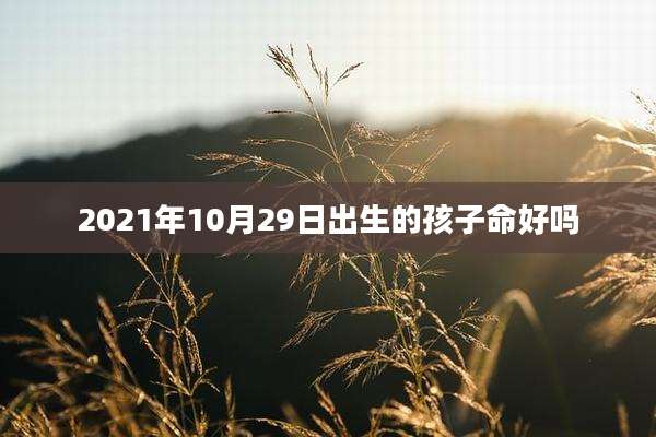 2021年10月29日出生的孩子命好吗