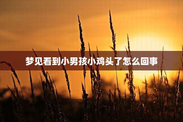梦见看到小男孩小鸡头了怎么回事