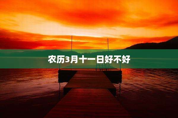 农历3月十一日好不好