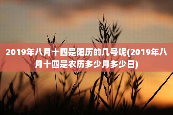 2019年八月十四是阳历的几号呢(2019年八月十四是农历多少月多少日)