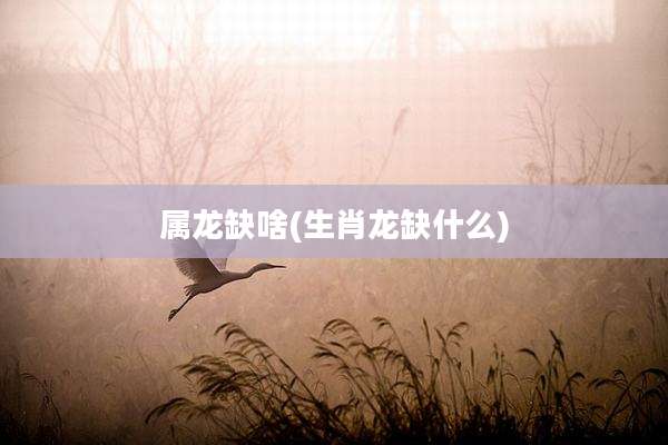 属龙缺啥(生肖龙缺什么)