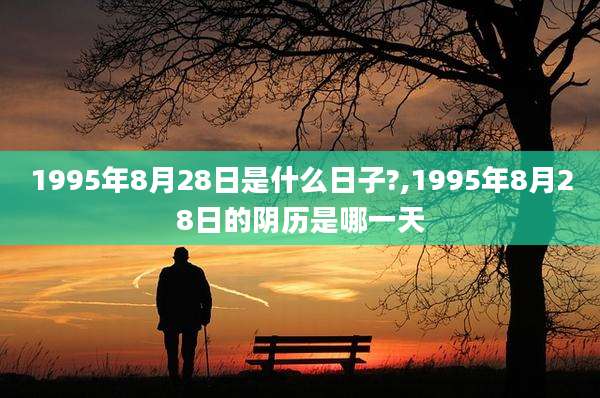 1995年8月28日是什么日子?,1995年8月28日的阴历是哪一天