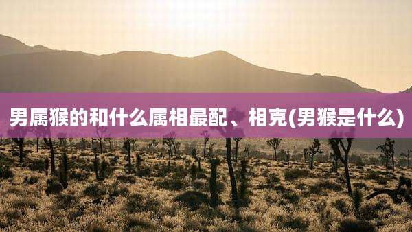 男属猴的和什么属相最配、相克(男猴是什么)