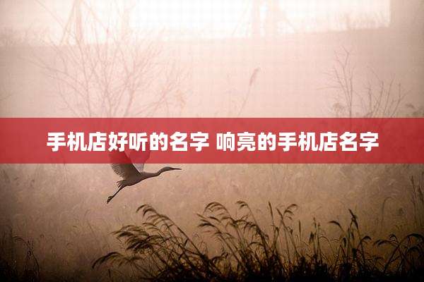 手机店好听的名字 响亮的手机店名字