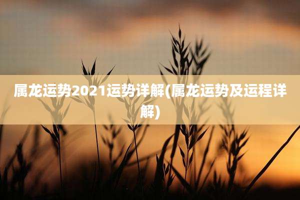 属龙运势2021运势详解(属龙运势及运程详解)