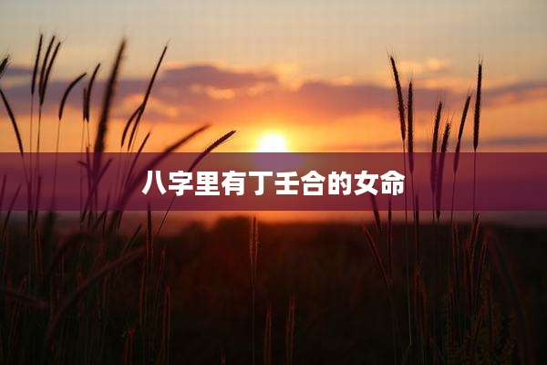八字里有丁壬合的女命