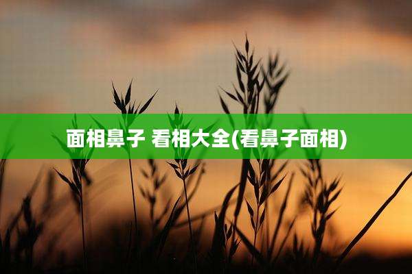 面相鼻子 看相大全(看鼻子面相)