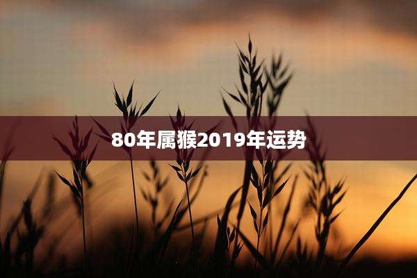 80年属猴2019年运势