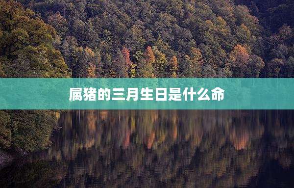 属猪的三月生日是什么命