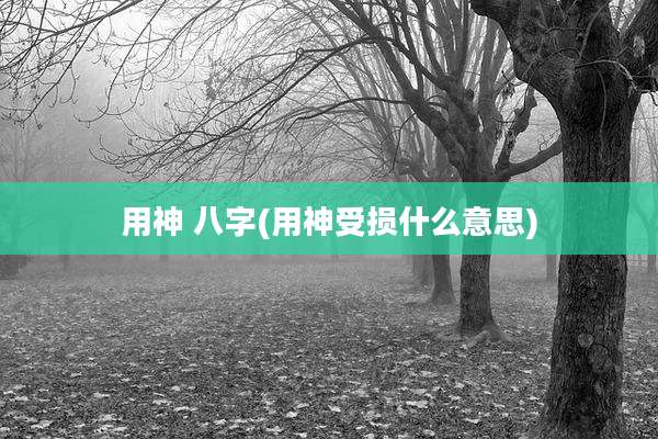 用神 八字(用神受损什么意思)
