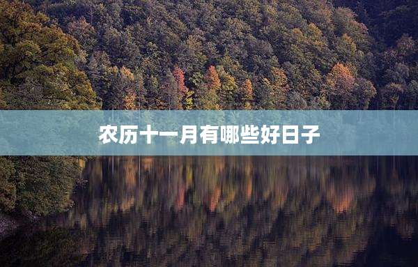 农历十一月有哪些好日子