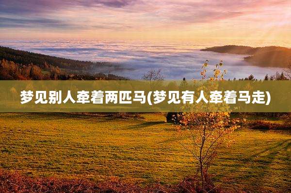 梦见别人牵着两匹马(梦见有人牵着马走)