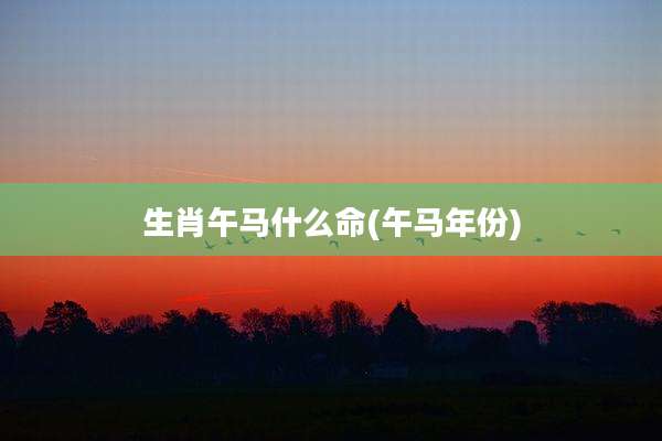 生肖午马什么命(午马年份)