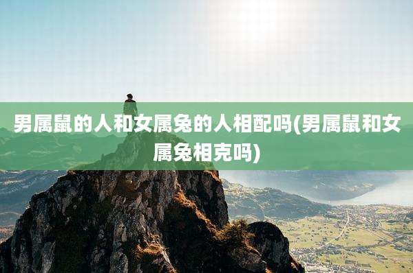 男属鼠的人和女属兔的人相配吗(男属鼠和女属兔相克吗)