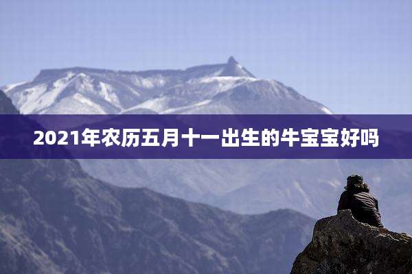 2021年农历五月十一出生的牛宝宝好吗