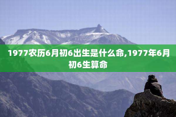 1977农历6月初6出生是什么命,1977年6月初6生算命