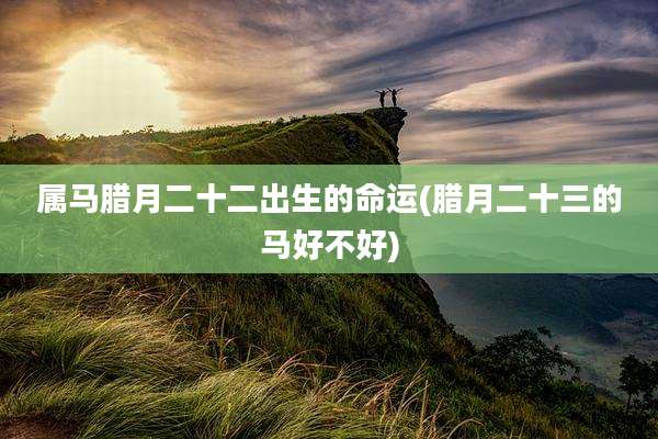 属马腊月二十二出生的命运(腊月二十三的马好不好)
