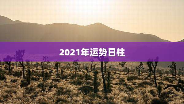 2021年运势日柱