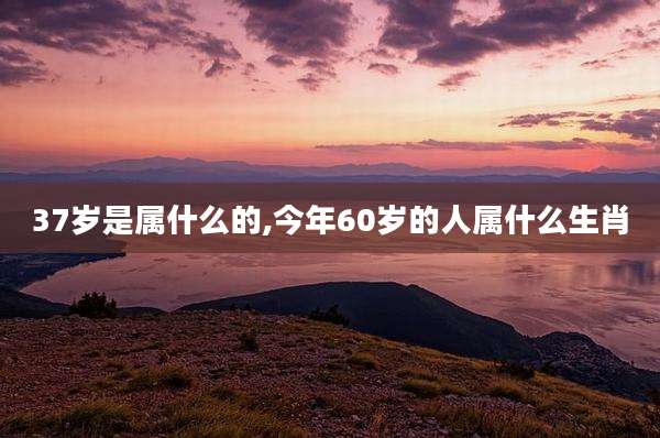 37岁是属什么的,今年60岁的人属什么生肖