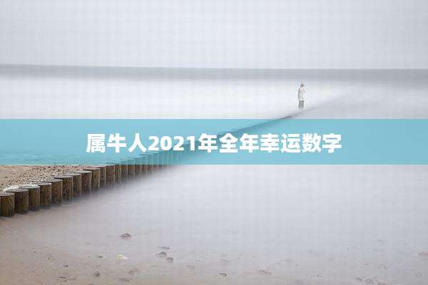 属牛人2021年全年幸运数字