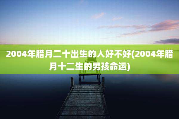 2004年腊月二十出生的人好不好(2004年腊月十二生的男孩命运)