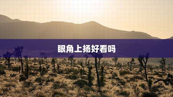 眼角上扬好看吗