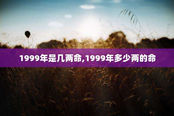 1999年是几两命,1999年多少两的命