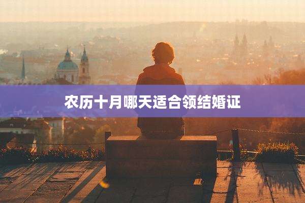 农历十月哪天适合领结婚证