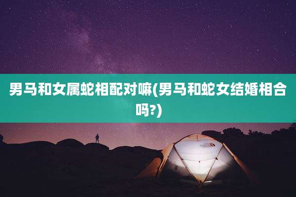 男马和女属蛇相配对嘛(男马和蛇女结婚相合吗?)
