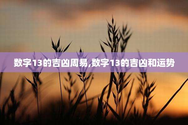 数字13的吉凶周易,数字13的吉凶和运势