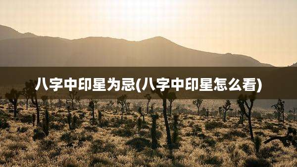 八字中印星为忌(八字中印星怎么看)