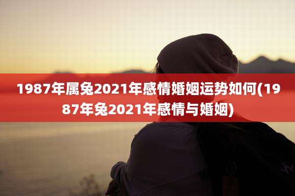 1987年属兔2021年感情婚姻运势如何(1987年兔2021年感情与婚姻)