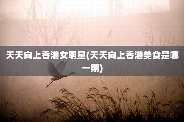天天向上香港女明星(天天向上香港美食是哪一期)