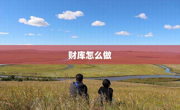 财库怎么做