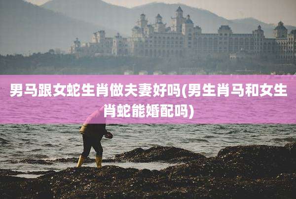 男马跟女蛇生肖做夫妻好吗(男生肖马和女生肖蛇能婚配吗)