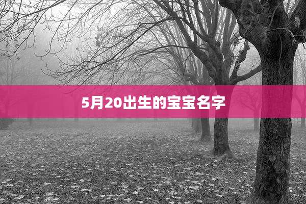 5月20出生的宝宝名字