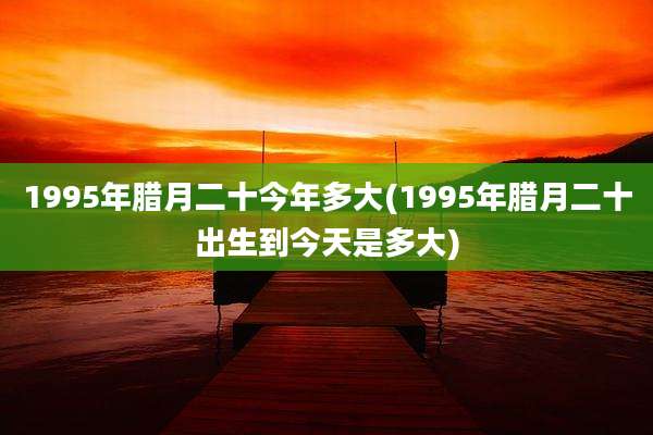 1995年腊月二十今年多大(1995年腊月二十出生到今天是多大)