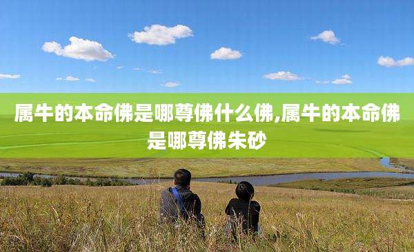 属牛的本命佛是哪尊佛什么佛,属牛的本命佛是哪尊佛朱砂
